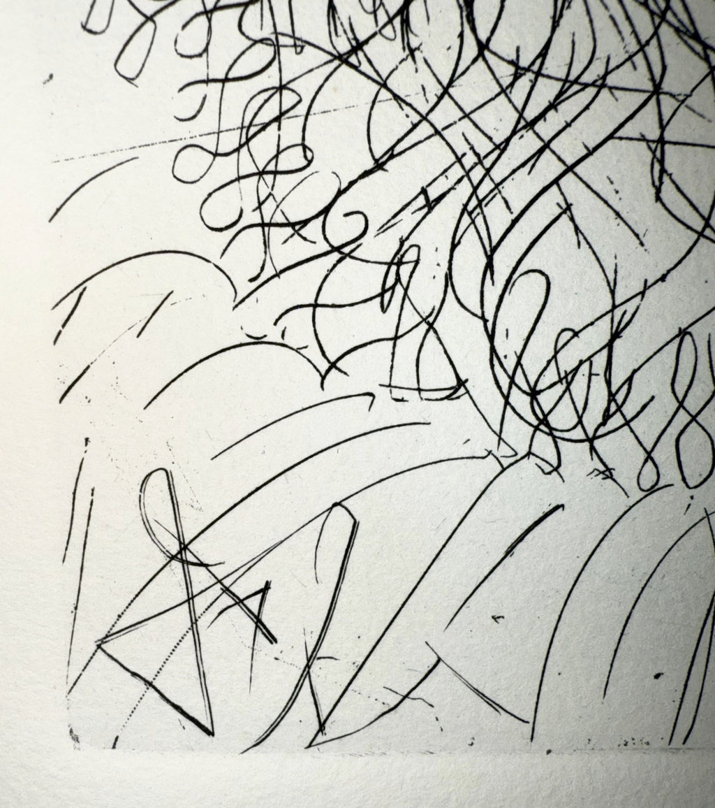 SALVADOR DALI (1904-1989) ORIGINAL ETCHING TITLED CERVANTES WITH COA, 14.75IN x 16.75IN (37.5cm x 42.5cm)