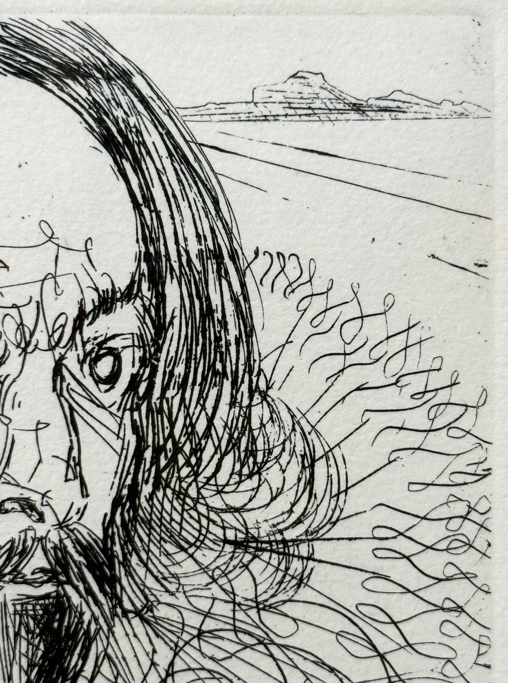 SALVADOR DALI (1904-1989) ORIGINAL ETCHING TITLED CERVANTES WITH COA, 14.75IN x 16.75IN (37.5cm x 42.5cm)