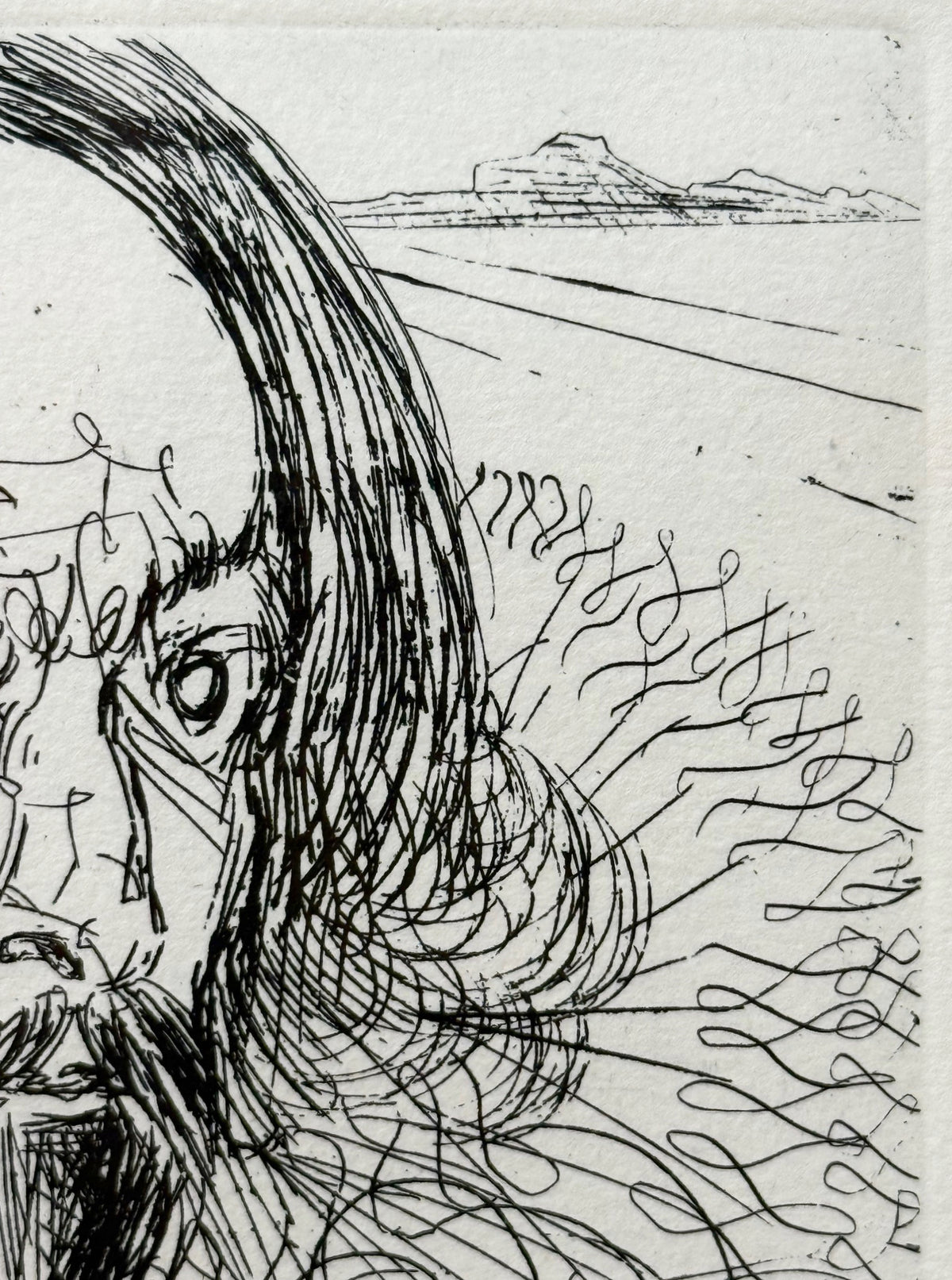 SALVADOR DALI (1904-1989) ORIGINAL ETCHING TITLED CERVANTES WITH COA, 14.75IN x 16.75IN (37.5cm x 42.5cm)