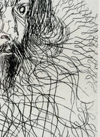 SALVADOR DALI (1904-1989) ORIGINAL ETCHING TITLED CERVANTES WITH COA, 14.75IN x 16.75IN (37.5cm x 42.5cm)