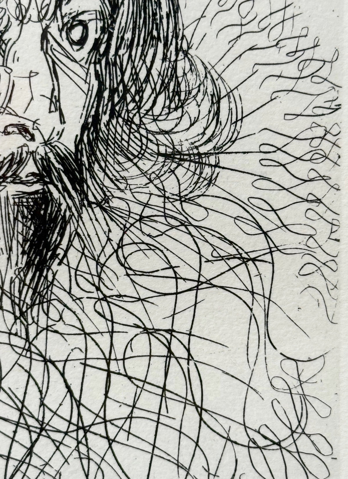 SALVADOR DALI (1904-1989) ORIGINAL ETCHING TITLED CERVANTES WITH COA, 14.75IN x 16.75IN (37.5cm x 42.5cm)