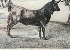 FRANCISCO JOSE DE GOYA Y LUCIENTES (1746-1828) ETCHING TITLED THE CELEBRATED PICADOR, 15IN x 19.25IN (38.1cm x 48.9cm)
