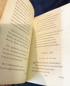 FABLES, WITH A LIFE OF THE AUTHOR BY JOHN GAY, 1793