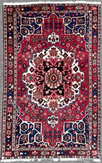 PERSIAN BAKHTIARI HAND KNOTTED RUG, 6.7 x 10.4 (201cm x 315cm)